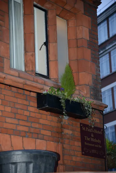 DSC_1182 (Large).JPG